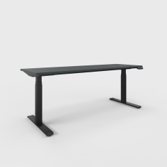  Table assis-debout L. 200 x P. 60 x H. 60-123cm électrique